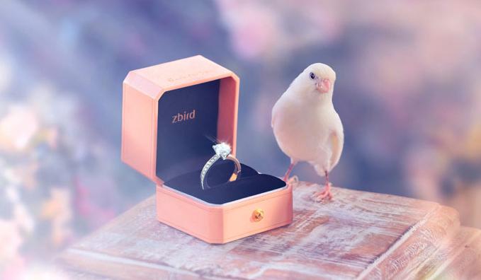 钻石裸钻价格多少,裸钻钻石小鸟