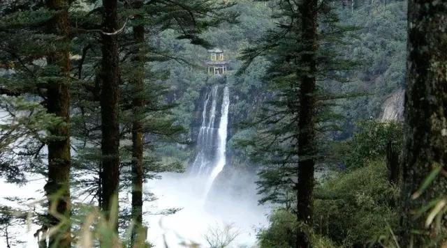 带你体验不一样的异国风情柬埔寨,去柬埔寨探寻神秘而又独特的美