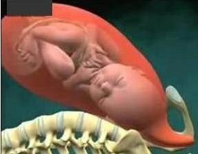 婴儿自然顺产过程,孩子顺产过程是怎样的