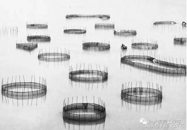 手机摄影田园生活图片,手机摄影主题