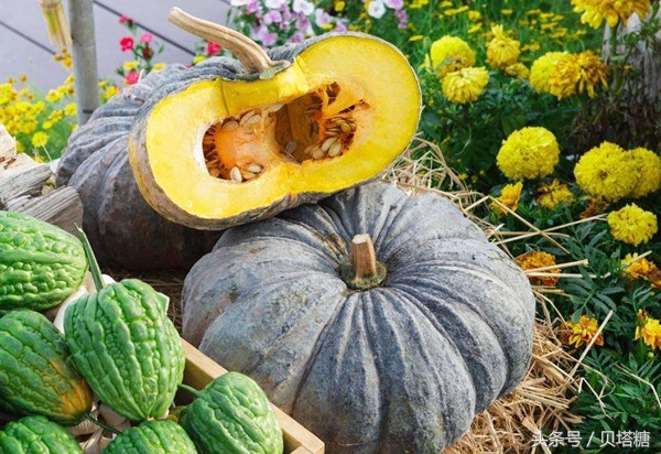 糖尿病可以吃哪些蔬菜来降低血糖,血糖高的人要吃什么蔬菜才降血糖