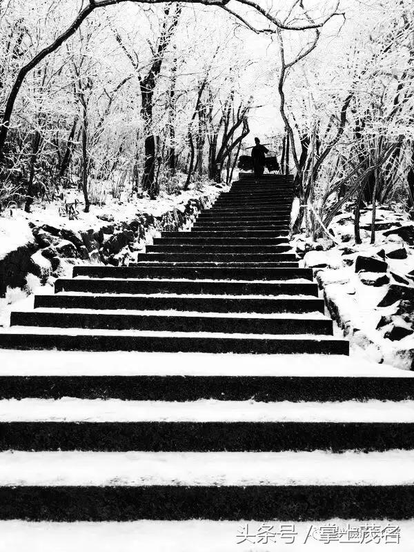 手机摄影田园生活图片,手机摄影主题