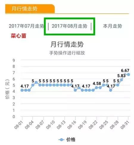 八月菜价大盘点,6成品种上涨带来黄金行情,附广州江南0901菜价