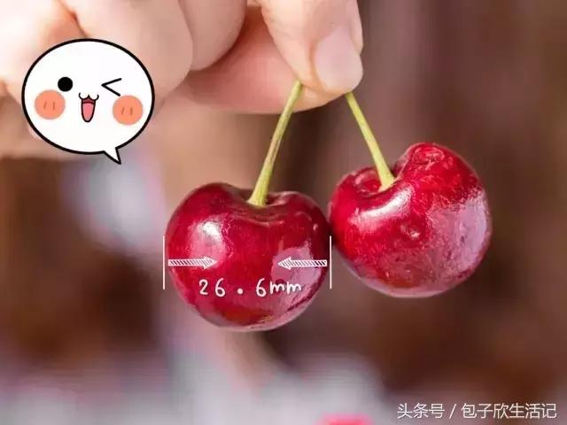 如果你喜欢喝这杯茶,也许我可以请你|奈雪