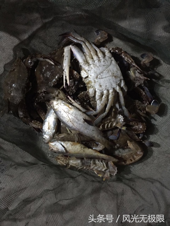 国内未开发适合旅游的岛,未曾旅游开发的岛