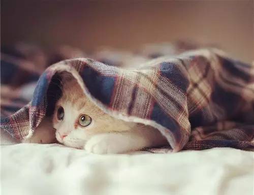 平价面膜敷出大牌效果,如何将面膜敷得服帖