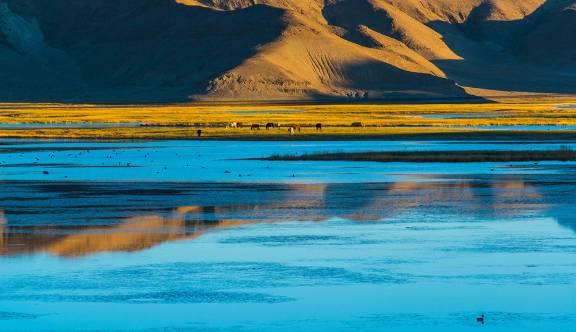 阿里北线自驾详细攻略,冬季阿里自驾攻略