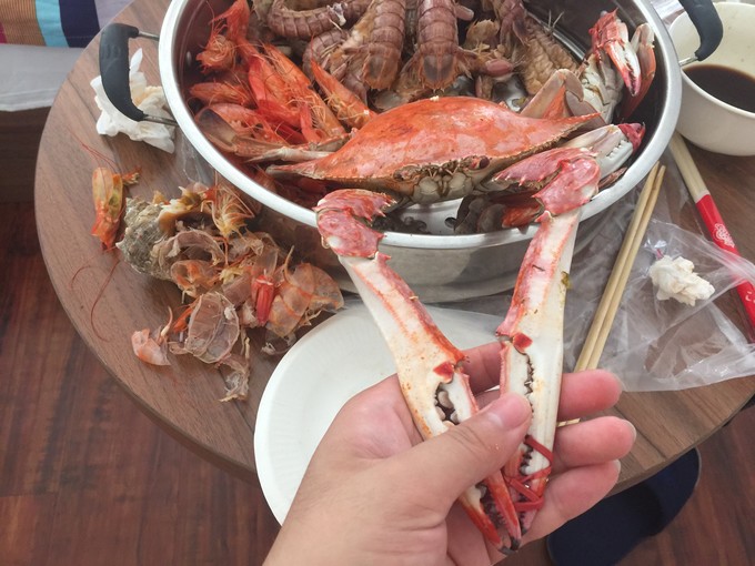 营口鲅鱼和青岛鲅鱼有区别吗,辽宁鲅鱼圈小鲅鱼