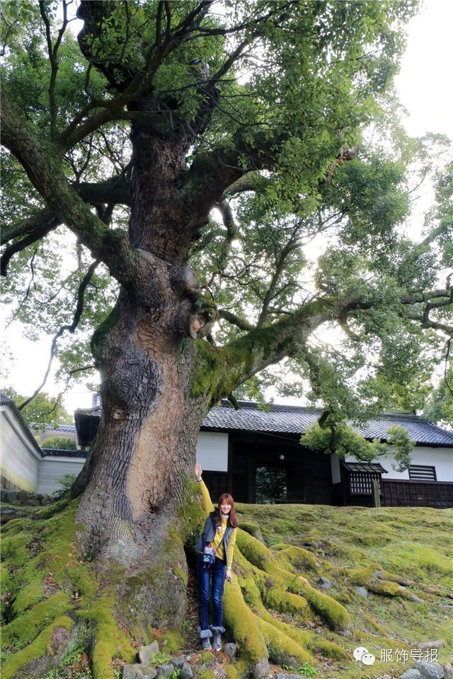 美翻天气质穿搭,夏季旅行穿搭日记
