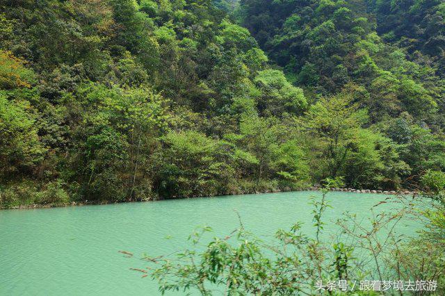 重庆最美黑山谷景区,重庆万盛黑山谷旅游如何