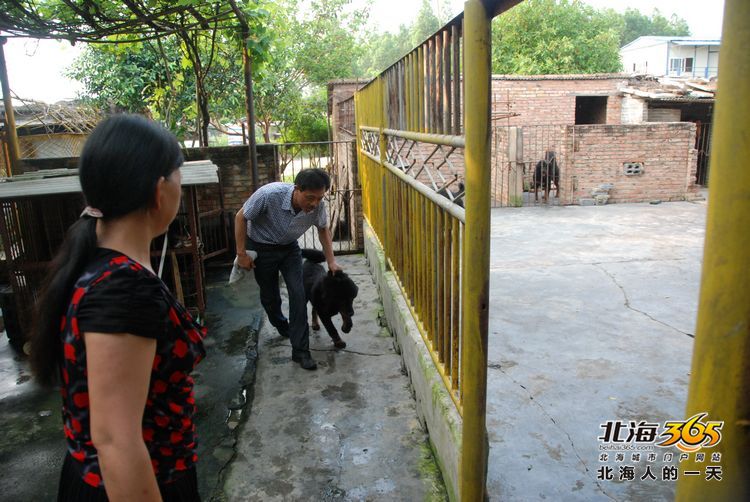 陈荣华北海,北海人的一天