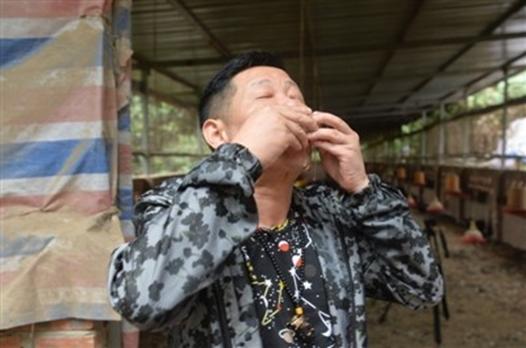 三德子赵亮与妻子回乡养鸡,三德子赵亮养鸡上综艺