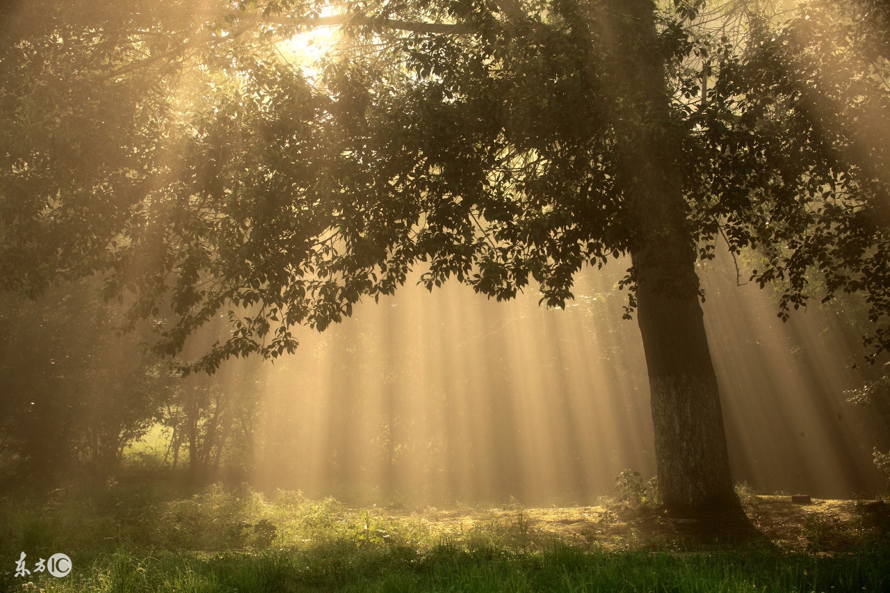 青少年盗窃的危害,青少年偷窃行为如何处理
