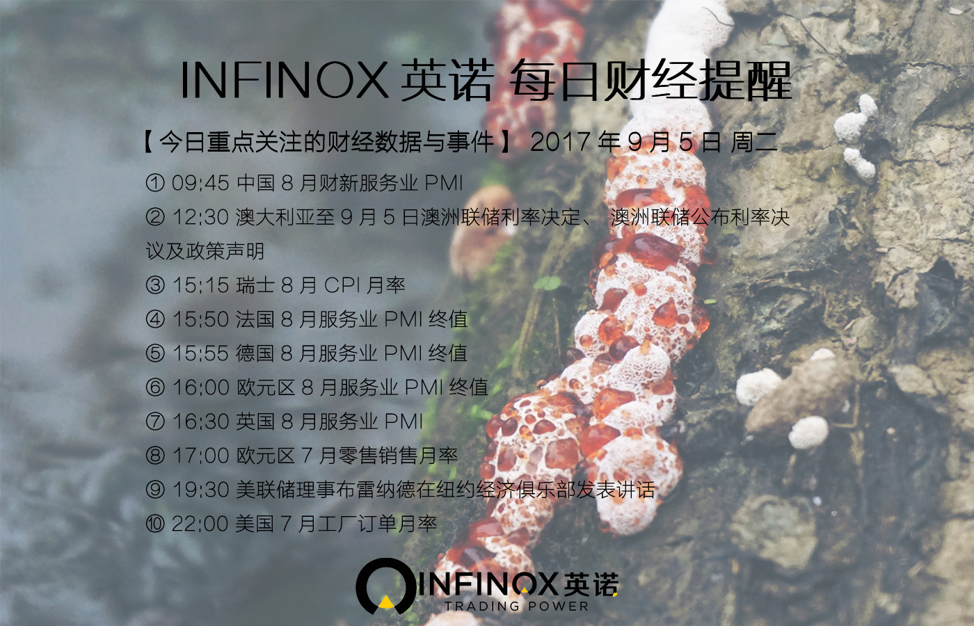 infinox英诺,infinox外汇平台