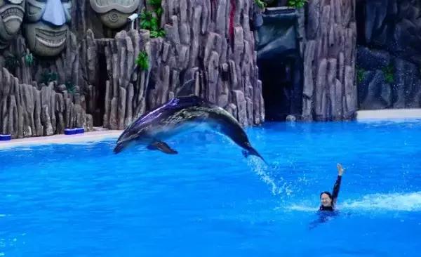 珠海横琴长隆海洋王国有什么,横琴口岸坐车珠海长隆海洋王国