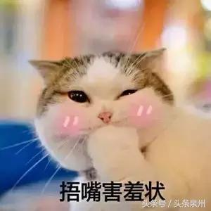 有什么东西是可以共享的,所有东西都可以共享