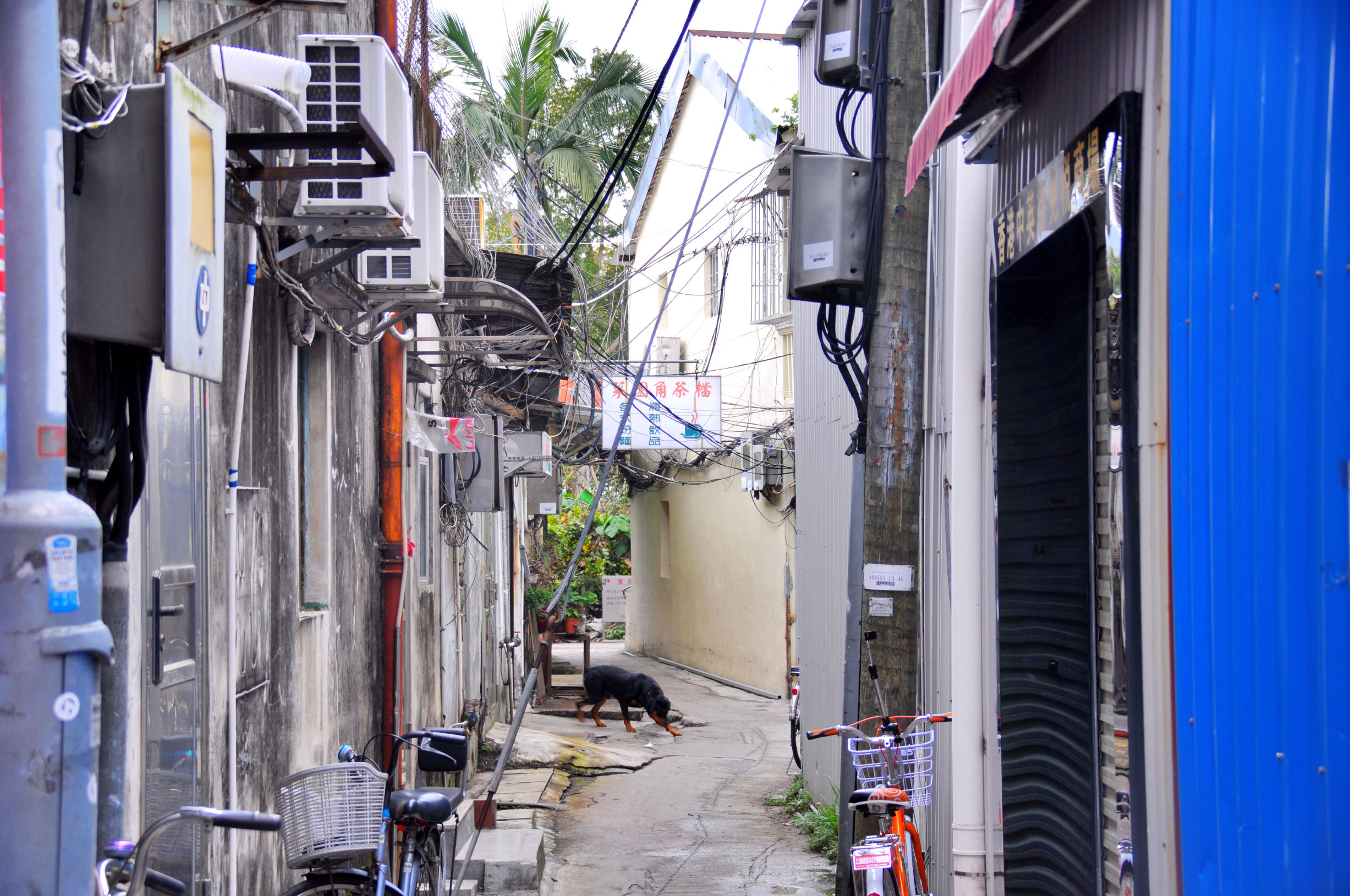 香港代购省钱攻略,香港代购去哪里买比较便宜