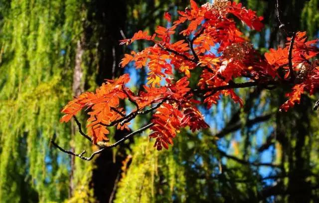 康定旅游景点木格措,康定木格措门票冬天