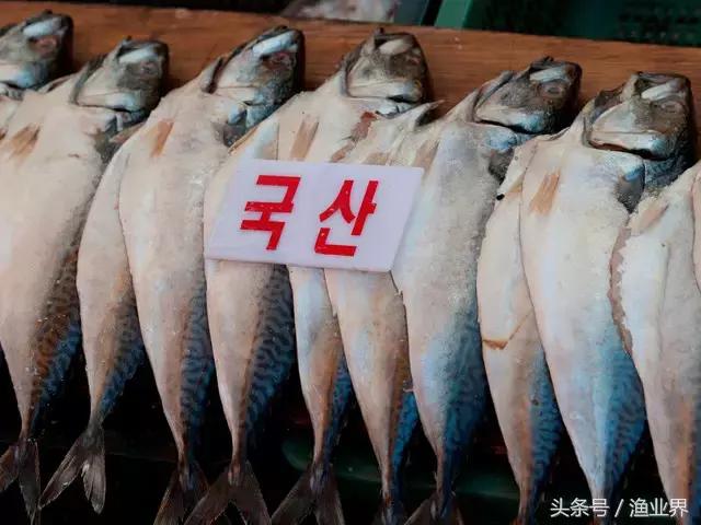 世界十大海鲜市场排名,世界最大的海鲜市场日本