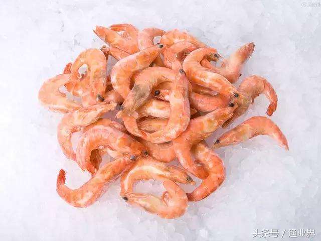 世界十大海鲜市场排名,世界最大的海鲜市场日本