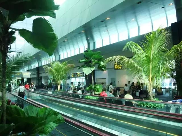 日本机场买什么最便宜,机场上有什么值得买的东西