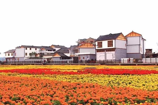 贵州方言笑死人的句子,贵州方言笑死人了