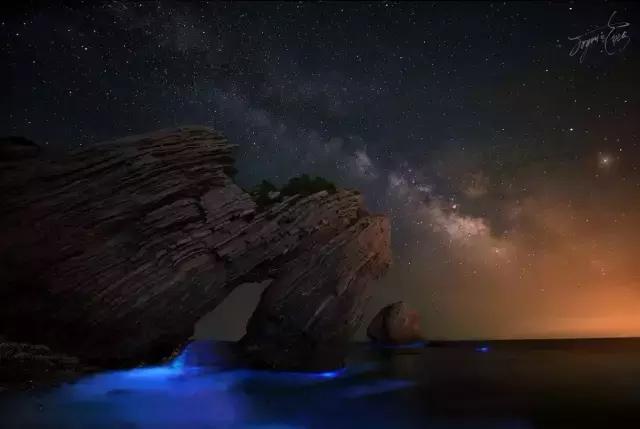 国内看荧光海最好看的地方,世界上最梦幻的荧光海