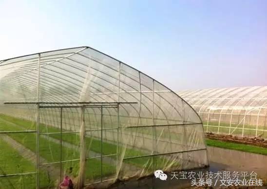 种植大棚防虫网选择,防虫网的选择方法