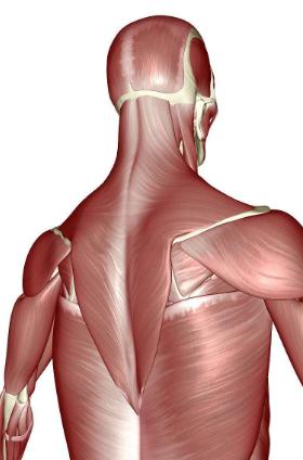 十佳科幻烧脑片为什么烧脑,烧脑科幻电影