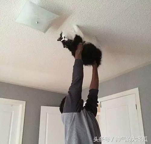 和爸爸在家带孩子怎么沟通,当爸爸带孩子的时候有什么惊喜