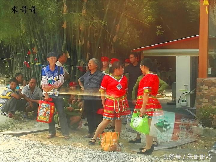 横县校椅镇马毕村茉莉庄园,广西横县茉莉庄园