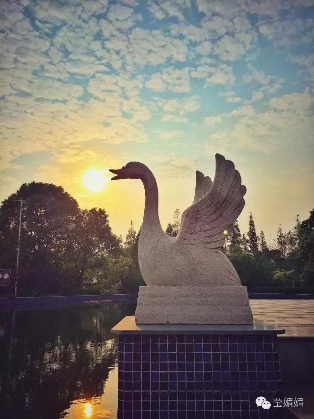 淀山湖日落美景,美丽的淀山湖游一游