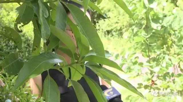 每一个叛逆的孩子都缺爱,一个不合格的父母对孩子的未来