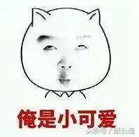 一些四字成语的解释,说的四字成语有哪些