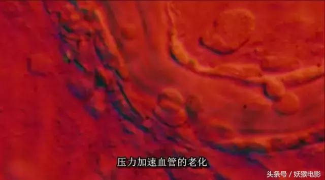 最震撼的纪录片bbc人体的奥秘,人体科普纪录片top10