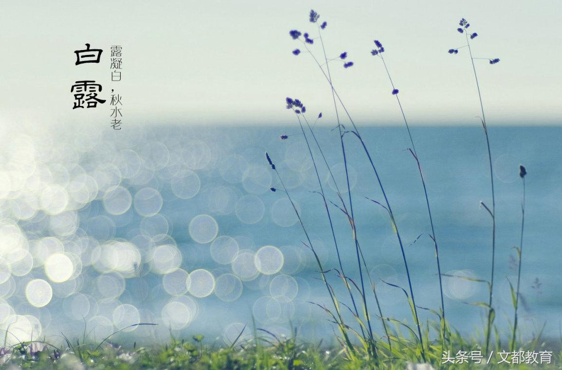 秋已至夜变凉早晚记得添衣裳,天凉了勿忘添衣裳