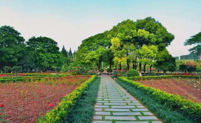 上海非沪籍有哪些证,上海户籍政策