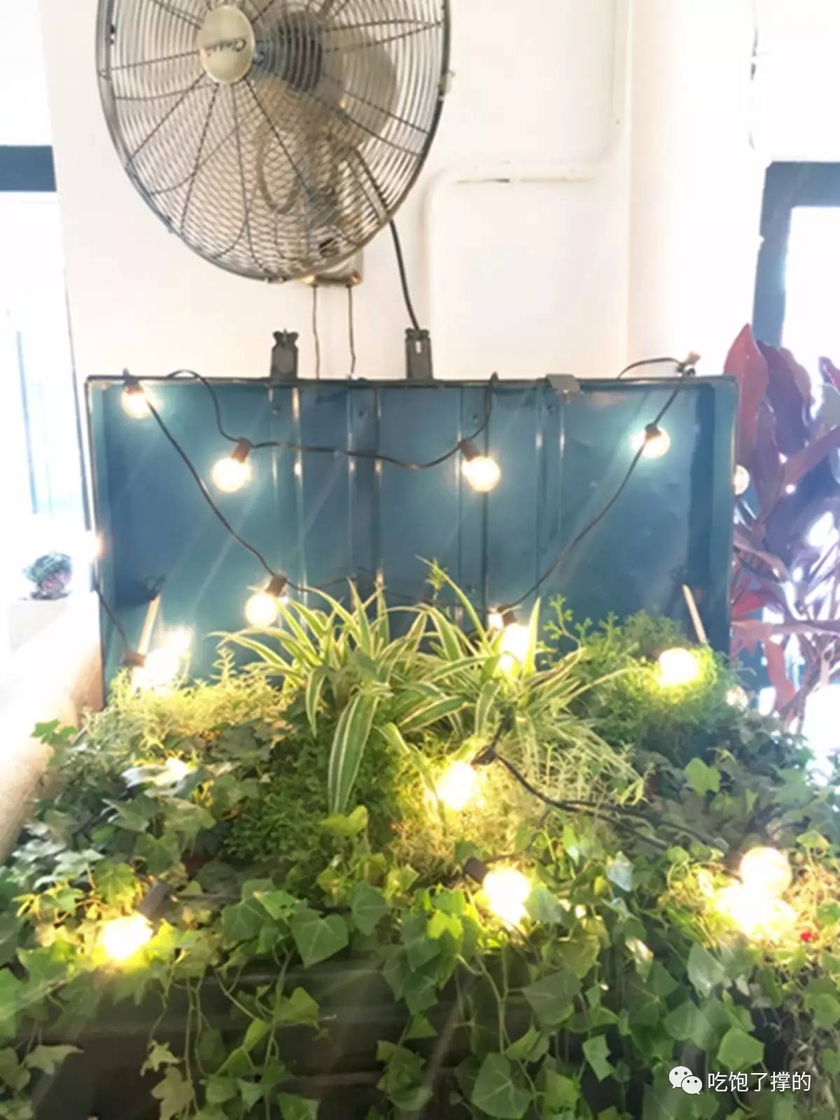 轻奢小众高级花店,有文艺气息的花店