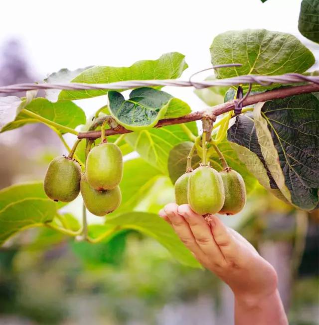 因为一句话恋上一座城,因为一个人恋上一座城