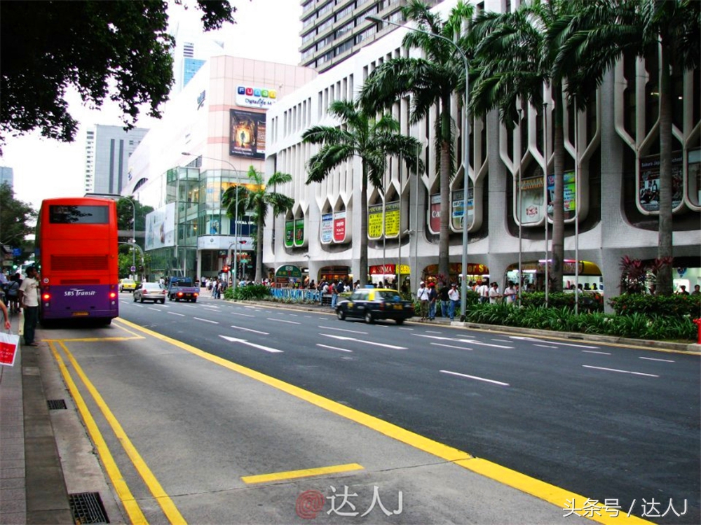 达人J:新马声色任逍遥