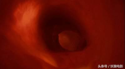 最震撼的纪录片bbc人体的奥秘,人体科普纪录片top10