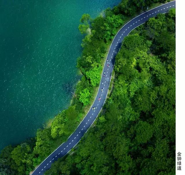 不愧为中山的生态保护区,镜头下的五桂山竟然这么美