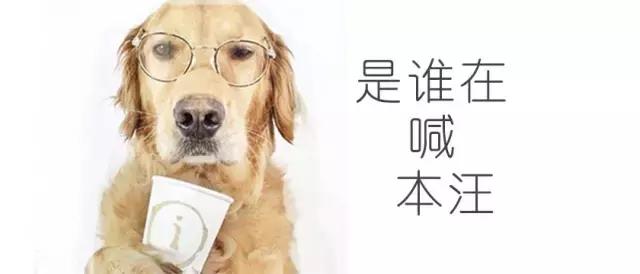 油盐酱醋的最佳配比,油盐酱醋整理技巧