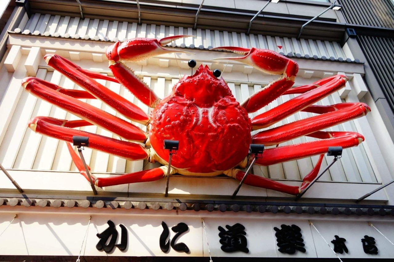 南京最正宗活蟹料理,正宗的日式蟹料理