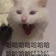 世界上稀奇古怪的网站,全球有什么有趣的网站