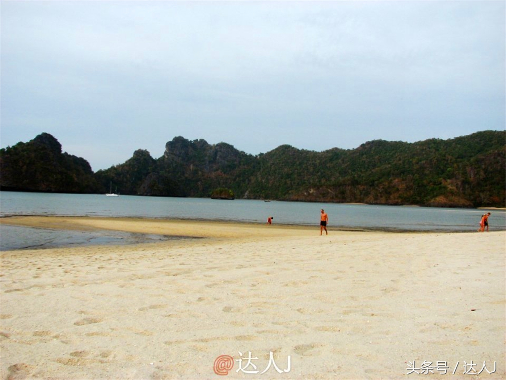 达人J:新马声色任逍遥