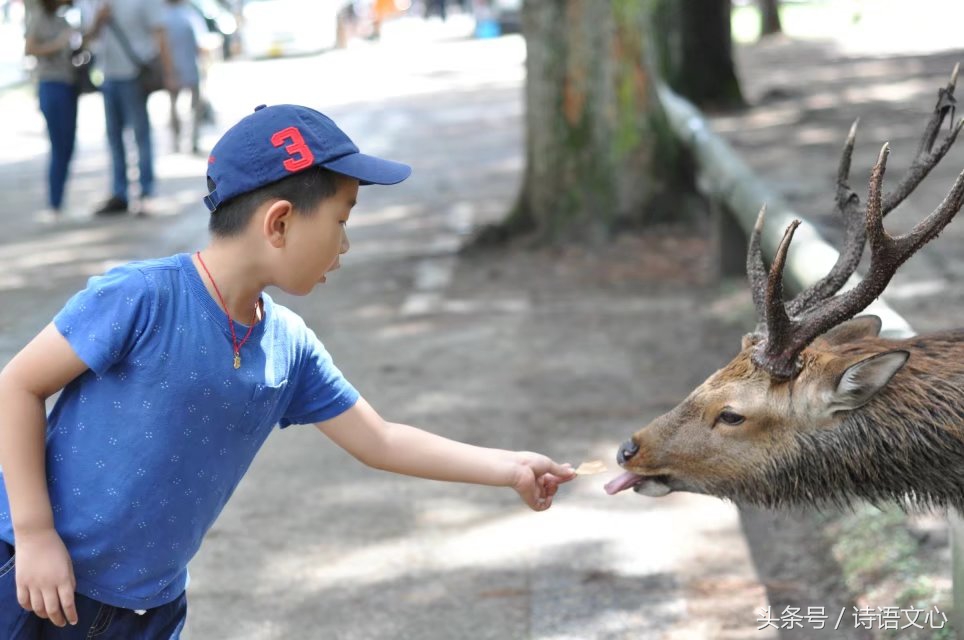 暑假带娃去部队看亲人,带娃去拉练