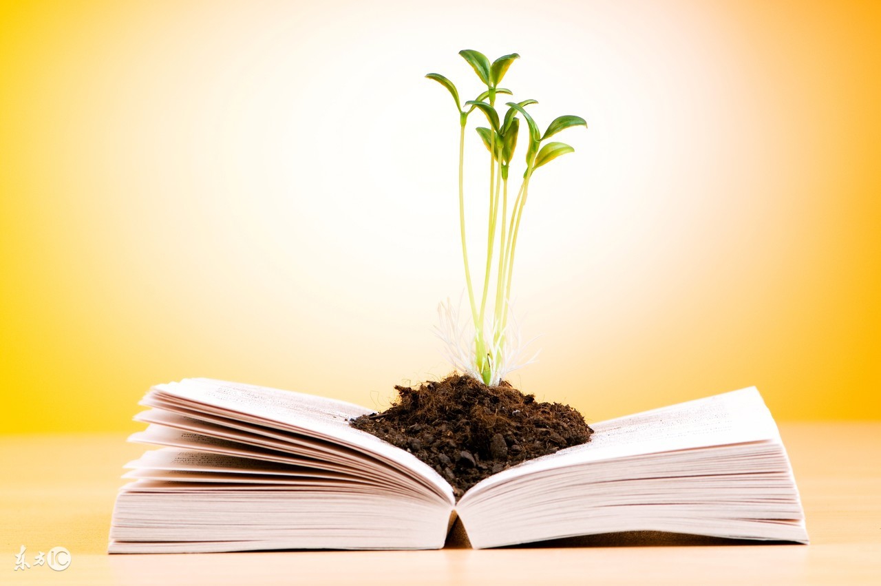 黑眼圈20年了怎么消除,40岁黑眼圈怎么内外调理