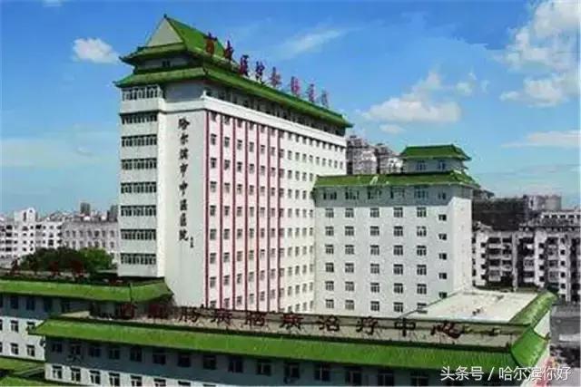 哈尔滨几月份去最舒服,哈尔滨哪个地方好玩住的地方便宜