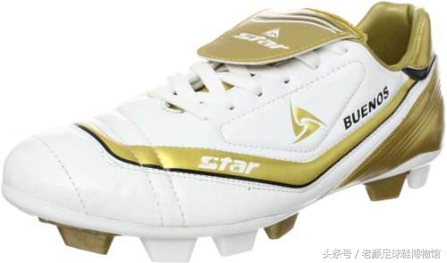 专业的足球鞋有哪几个品牌,曾经的足球鞋知名品牌有哪些
